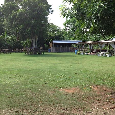 Chillax On Our Farm Guest House Ocho Rios Ngoại thất bức ảnh