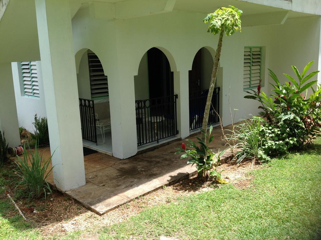 Chillax On Our Farm Guest House Ocho Rios Ngoại thất bức ảnh