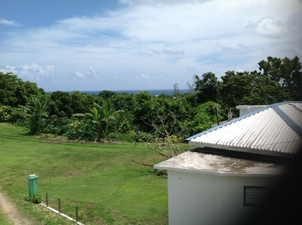 Chillax On Our Farm Guest House Ocho Rios Ngoại thất bức ảnh