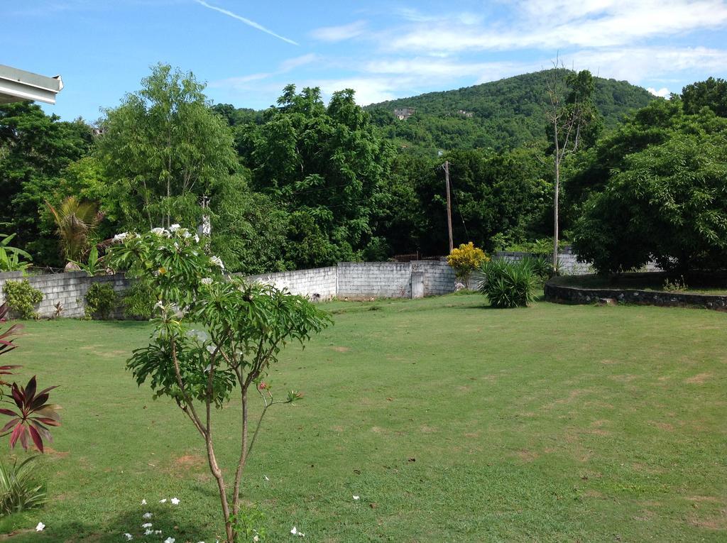 Chillax On Our Farm Guest House Ocho Rios Ngoại thất bức ảnh
