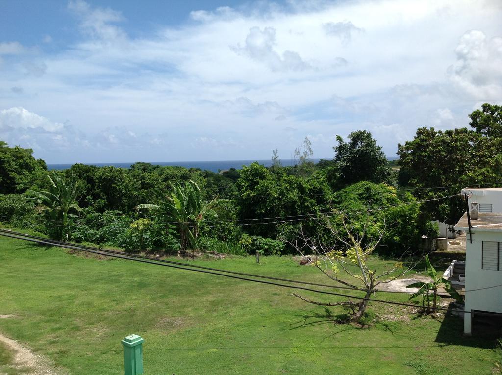 Chillax On Our Farm Guest House Ocho Rios Ngoại thất bức ảnh