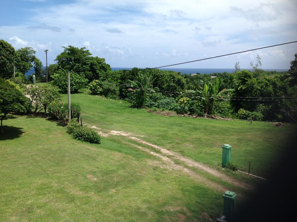 Chillax On Our Farm Guest House Ocho Rios Ngoại thất bức ảnh