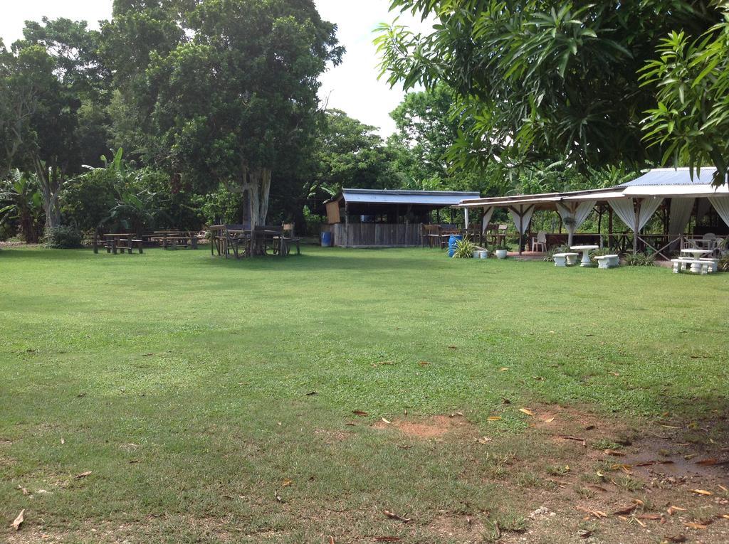 Chillax On Our Farm Guest House Ocho Rios Ngoại thất bức ảnh