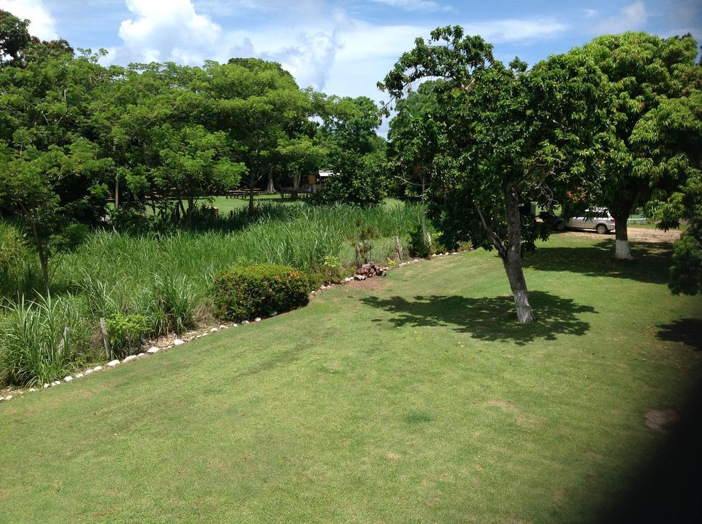 Chillax On Our Farm Guest House Ocho Rios Ngoại thất bức ảnh